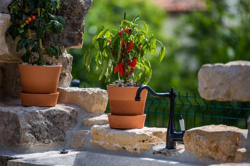 Villa Parenzana Višnjan 외부 사진